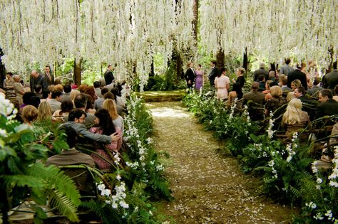 Wisteria canopy.  No, I'm not a huge Twilight fan, but I was enthralled with the scenery for Bella's and Edward's wedding. Wedding Ceremony Ideas, Summer Wedding Reception Decorations, Bella And Edward Wedding, Breaking Dawn Wedding, Bella Y Edward, Woodland Wedding Decorations, Twilight Wedding, Summer Wedding Reception, Twilight Breaking Dawn