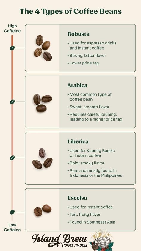 Coffee Beans Photography, Coffee Bean Shop, Coffee Chart, Types Of Coffee Beans, Blue Mountain Coffee, Coffee Infographic, Coffee Shop Business, Different Types Of Coffee, Types Of Coffee