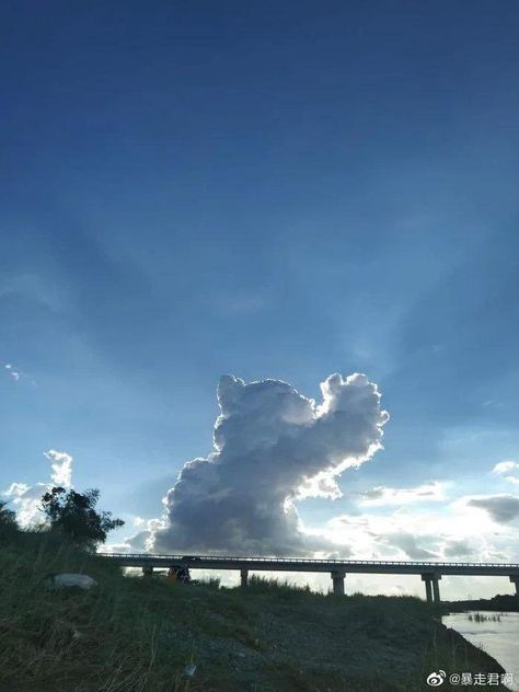 Nature, Cat And Cloud, Light Blue Aesthetic, Cloud Art, Cloud Shapes, Dog Wallpaper, Foto Ideas Instagram, Cat Aesthetic, Sky Aesthetic
