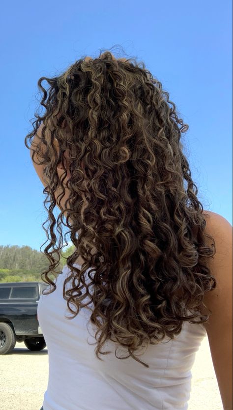 Hair Dyes For Curly Hair, Highlights Dark Hair Curly, Honey Blonde Highlights On Brown Hair Curly, Summer Highlights Curly Hair, Dark Curls With Highlights, Blonde Highlights In Brown Curly Hair, Light Highlights Curly Hair, Highlights On 2c Hair, Sun Kissed Brown Hair Curly