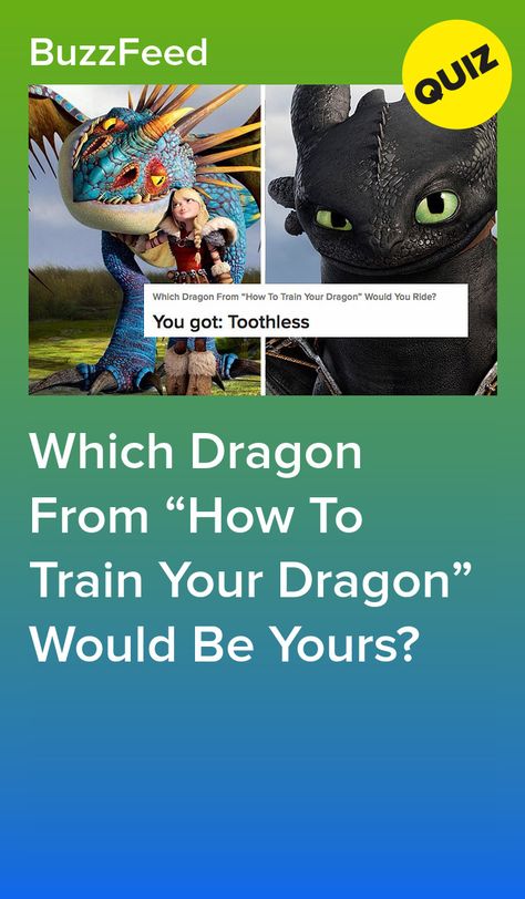 Which Dragon From “How To Train Your Dragon” Would Be Yours? Httyd Quizzes, Httyd Quiz, How To Train Your Dragon Dragons Types, How To Train Your Dragon Funny, How To Train Your Dragon Toothless, How To Train Your Dragon Dragons, Httyd Night Fury, Buzz Quiz, Httyd Toothless