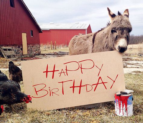 Happy Birthday from the farm Happy Birthday Love Poems, Funny Text Messages Crush, Happy Birthday Animals, Birthday Greeting Message, Birthday Animals, Happy Birthday Man, Birthday Wishes For Friend, Happy Birthday Wishes Cards, Happy Birthday Love