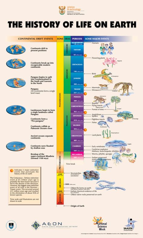 Life on Earth Image Coutery : AEON Earth Science, History Of Life On Earth, Geologic Time Scale, History Of Earth, Earth Images, Ayat Alkitab, History Timeline, Life On Earth, Charles Darwin