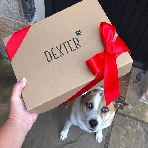 Dog Gift Box Ideas, Personalised Dog Gifts, Dog Birthday Gift Ideas, Diy Dog Gifts, Dog Jerky, Dog Gift Basket, Dog Gift Ideas, Dog Gift Box, Personalised Gift Box