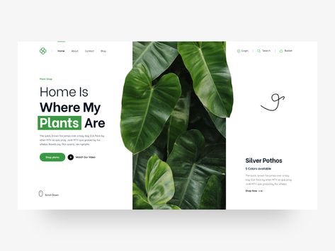 Plant Web Design, Plant Website Design, Plants Design, Desain Ui, Ecology Design, Graphisches Design, Websites Design, Plant Shop, Webpage Design