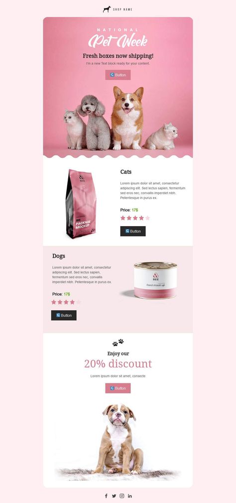 Email Template Design Creative, Email Marketing Design Ecommerce, Marketing Emails Design, Email Graphic Design Layout, Newsletter Email Template, New Product Email Design, Best Email Design, Mobile Email Design, Email Promotion Design