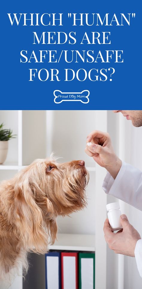 Human Medications Safe For Dogs, Medicine Dogs Can Take, Dog Friendly Medications, Human Meds For Dogs, Human Medicine For Dogs, Dog Meds Over The Counter, Medicine For Dogs Over The Counter, Otc Meds For Dogs, Human Medicine Safe For Dogs