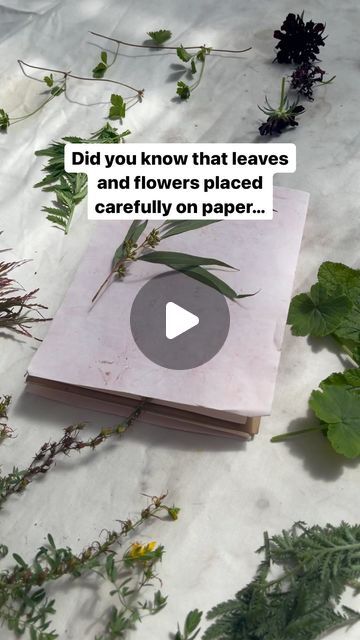 Dyeing Paper With Natural Dyes, Eco Printing Paper, Natural Dye Projects, Printing On Handmade Paper, Books For Creatives, Eco Print Paper, Eco Diy Projects, Eco Printing On Paper, Paper Designs For Projects