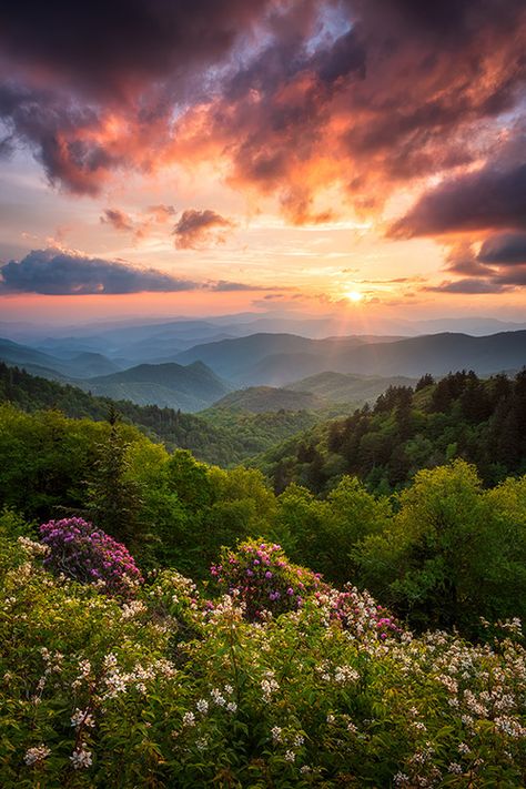 Great Smoky Mountains National Park Blue Ridge Parkway Sunset Scenic Landscape Photography Mountain Sunset Landscapes, Cherokee Nc, Dave Allen, Mountains Sunset, Mountain Landscape Photography, Fine Art Landscape Photography, Mountain Sunset, Mountain Photography, Great Smoky Mountains National Park