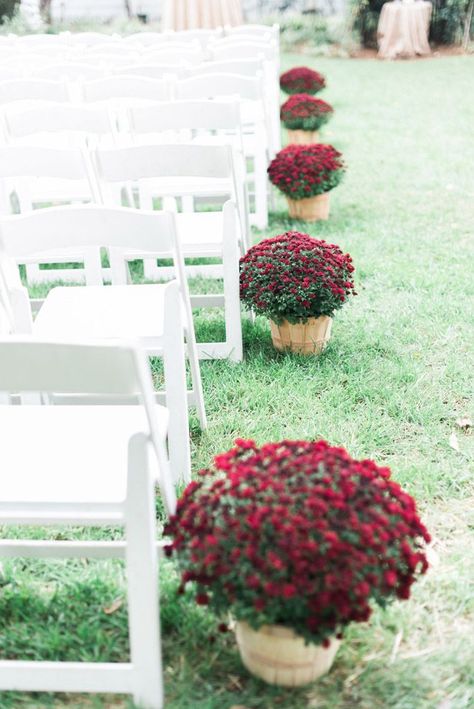 Fall Wedding DIY wedding Ideas - Red and Maroon Mums as ceremony aisle decors at an outdoor wedding in Cary NC | J Parker Photography  | via @SthrnBrideGroom SouthernBrideandGroom.com Mums At Wedding, Fall Red Wedding, Fall Arch, Fall Groom, Burgandy Wedding, Bride Diy, Aisle Decorations, Ceremony Aisle, Fall Wedding Diy