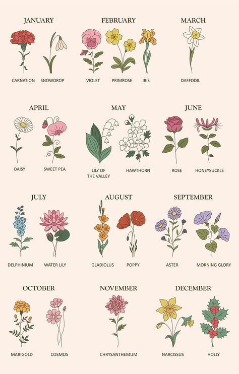 June Flowers Birth, Birth Year Flowers, Flower For Months, Flowers Of Months, Birth Month Flower August, Flowers By Month Birthday, Flower For June Birth Month, Flowers Of Each Month, August Birthday Flower