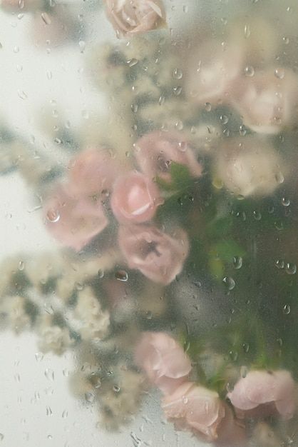 Nature, Flowers Clear Background, Blurry Mist Flowers Wallpaper, Flowers Behind Glass Wallpaper Hd, Foggy Glass Flowers Wallpaper, Dreamy Flowers Aesthetic, Condensation Aesthetic, Frosted Glass Flower Wallpaper, Blurry Flower Wallpaper
