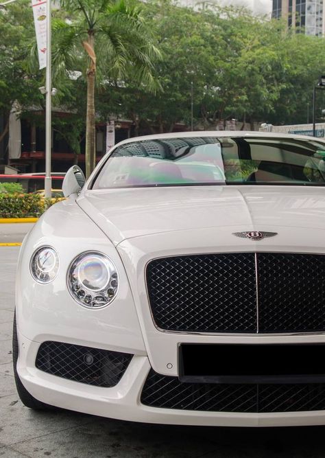 White Bentley Aesthetic, Bently White Car, Bentley Auto, Girl Driving, Bentley Continental Gt Convertible, Luxury Cars Bentley, New Bentley, Lake Constance, Luxury Sports Cars