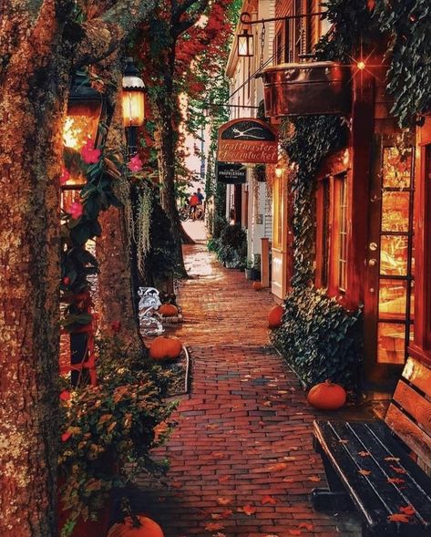 Salem Massachusetts Travel, Massachusetts Aesthetic, Salem Halloween, Massachusetts Travel, Zell Am See, Autumn Magic, New England Fall, Japon Illustration, Autumn Scenes