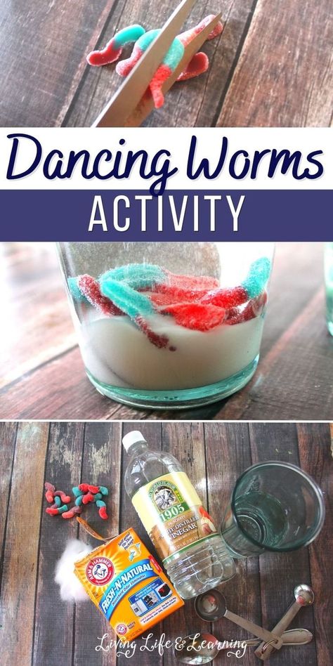 Dancing Worms Activity for Kids Dancing Worms Experiment, Dancing Gummy Worms Experiment, Reptiles Science Experiment, Dancing Worms Science Experiment, Camp Science Experiments, Grade 5 Science Experiments, Stem Activities Preschool Science, Science Activity Kindergarten, Science Experiments For Grades 3-5