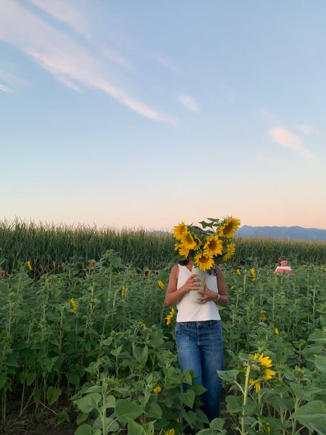 Flower Field Pics Aesthetic, Field Pics Aesthetic, Sunflower Field Instagram Pictures, Summer Sunflower Aesthetic, Flower Field Photo Ideas, Sunflower Field Pics, Flower Feild Pics Aesthetic, Flower Picking Aesthetic, Flower Field Pics