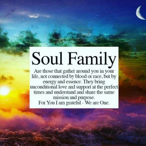 Vibe with Your Soul Tribe Humour, Family Quotes, Tribe Quotes, Soul Family, Inspirerende Ord, Be Here Now, Free Your Mind, Soul Connection, Soul Sisters