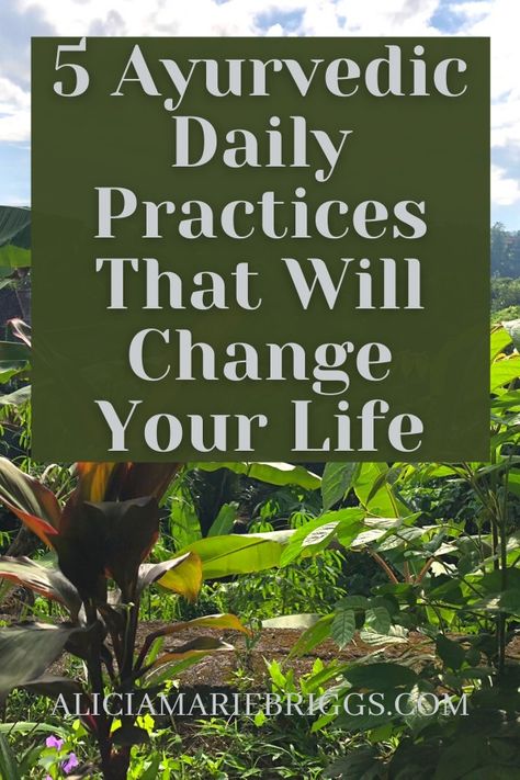 5 Ayurvedic Daily Practices That Will Change Your Life : Learning the Local Way Kapha Dosha Meal Plan, Pitta Dosha Daily Routines, Pitta Vata Dosha Diet, Vata Dosha Daily Routines, Ayurveda Morning Routine, Kapha Dosha Daily Routines, Ayurvedic Diet Kapha, Ayurveda Kapha Diet, Pitta Kapha Dosha