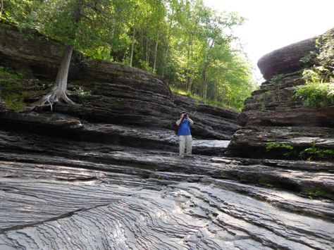 Marvel at naturally carved rock formations as you stroll through the forest. Michigan Hikes, Ontonagon Michigan, Michigan Hiking, Porcupine Mountains, Michigan Camping, Travel Michigan, Michigan Adventures, Michigan Road Trip, Michigan Summer