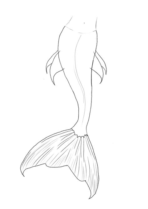 Mermaid Tail Reference Drawing, Mermaid Art Sketch, Easy Drawing Mermaid, Mermaid Sketch Easy, Mermaid Drawing Outline, How To Draw A Siren, How To Draw A Mermaid Step By Step Easy, Mermaid Tail Drawing Easy, How To Draw Mermaid Tail