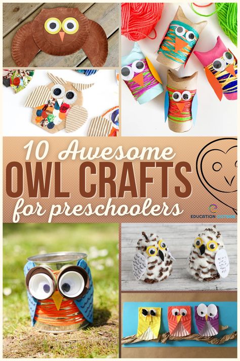 Montessori, Nocturnal Animal Dramatic Play, Preschool Nocturnal Animals Crafts, Owls For Preschoolers, Owl Unit Study, Owl Preschool Crafts, Owl Crafts For Toddlers, Owl Activities For Preschool, Nocturnal Animals Preschool Crafts