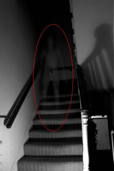 Ghost Project, Real Ghost Photos, Paranormal Pictures, Ghost Photo, Ghost Sightings, Paranormal Photos, Real Ghost, Spirit Ghost, Scary Photos