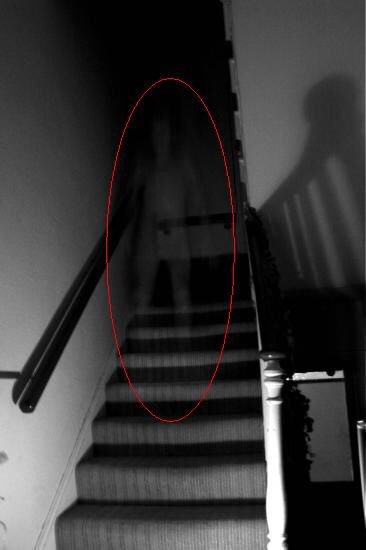 Ghost Project, Real Ghost Photos, Paranormal Aesthetic, Paranormal Pictures, Ghost Photo, Paranormal Photos, Ghost Sightings, Spirit Ghost, Real Ghost