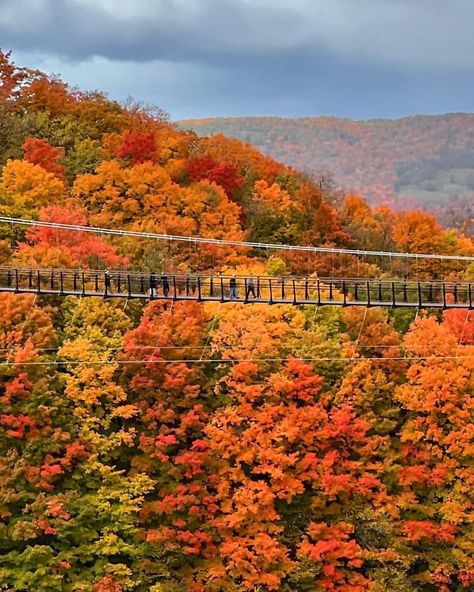 Boyne Mountain Resort, Boyne Mountain, Sky Bridge, Small Town Romance, Beach Books, Beachfront Condo, Autumn Scenery, Quiet Area, Fall Is Here