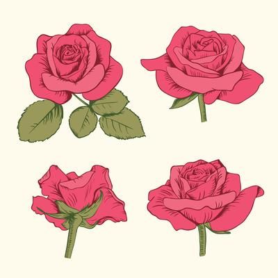 Set collection of blue roses with leaves isolated on white background. Vector illustration 530557 Vector Art at Vecteezy Roses With Leaves, Rose Line Art, Rose Reference, History Tattoos, Red Rose Tattoo, Flower Drawing Tutorials, Rose Illustration, Rose Drawing, Rose Tattoo Design