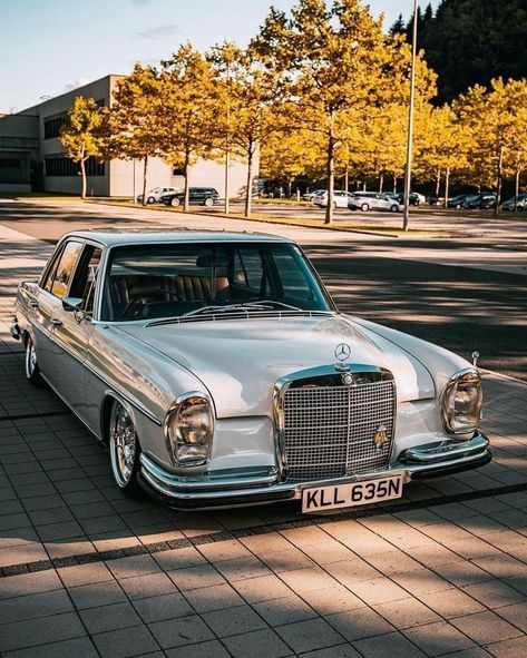 Slammed Mercedes, Mercedes 240, Vintage Benz, Classic Benz, Classic Cars Trucks Chevy, Mercedes W114, Mercedes Interior, Mercedes Benz Coupe, Mercedes Benz 220