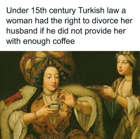 Tudor History Memes, Oversimplified History Memes, Us History Memes Funny, History Jokes Funny, History Humor Funny, Funny History Memes Hilarious, Funny History Quotes, Oversimplified History, History Memes Hilarious