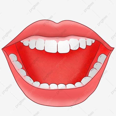 Montessori, Open Mouth Drawing, Teeth Png, Mouth Pictures, Mouth Clipart, Mouth Cartoon, Teeth Clipart, Teeth Images, Teeth Clip