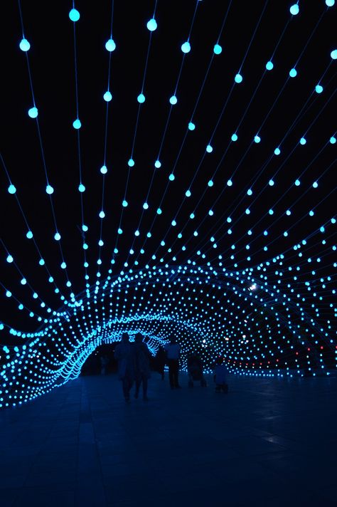 AEPioneer installs an immersive 80m-long light tunnel in tehran Led Lights Design, Light Bulb Wall, Light On The Wall, Light Art Installation, Light Tunnel, Long Lights, Long Light, Installation Design, Light Sculpture