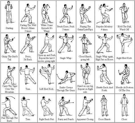Man Of Tai Chi, Tai Chi Movements, Yang Style Tai Chi, Tai Chi Moves, Qui Gong, Learn Tai Chi, Tai Chi For Beginners, Beginner Poses, Tai Chi Exercise