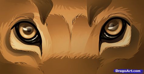 how to draw lion eyes Draw Lion, Eyes Step By Step, Lion Eyes, Lion Drawing, Eye Illustration, Africa Animals, Eyes Drawing, Jungle Art, Drawing Animals