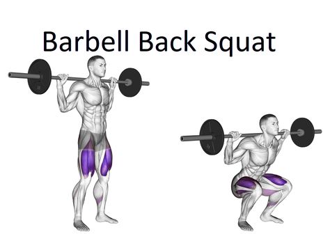 Barbell Back Squat, Proper Squat Form, Zercher Squat, How To Squat Properly, Tuesday Workout, Back Squat, Muscle Hypertrophy, Squat Variations, Increase Bone Density