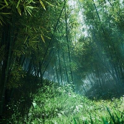 Nature, Chinese Forest, Bamboo Aesthetic, Perspective References, Forest Lighting, Magic Light, Forest Flowers, Dark Paradise, Bamboo Forest