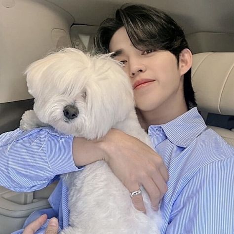 Scoups Seventeen With Dog, Scoups Dog Kuma, Scoups Icons Cute, Kkuma Coups, Seventeen Kpop Aesthetic, Scoups Cute, S.coups Cute, Seventeen Scoups Icon, Scoups Icon