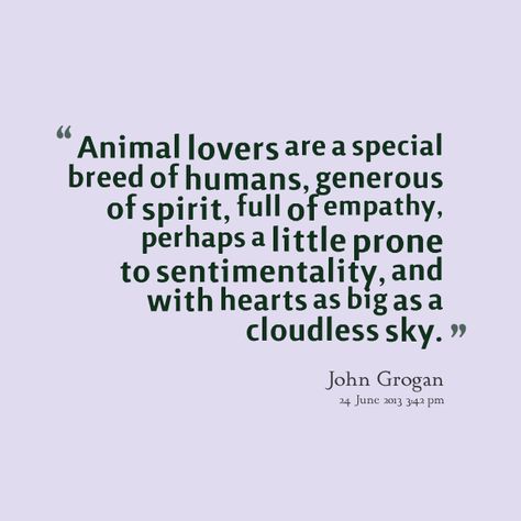 Quotes About Humans And Animals. QuotesGram by @quotesgram Dog Quotes, Animal Lover Quotes, Animals Quotes, Empathy Quotes, Vegan Quotes, Quotes By Authors, Say That Again, Animal Quotes, Animal Lovers