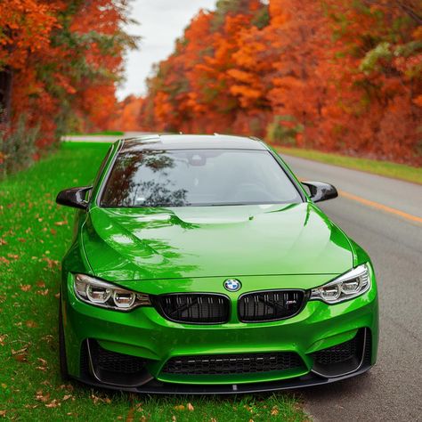 Was told to post this here - Java green M4 Bmw M4 Green, Green Car Wallpaper, Bmw Green, Green Bmw, Car Green, Mobil Bmw, Green Cars, Бмв X6, Dream Cars Bmw