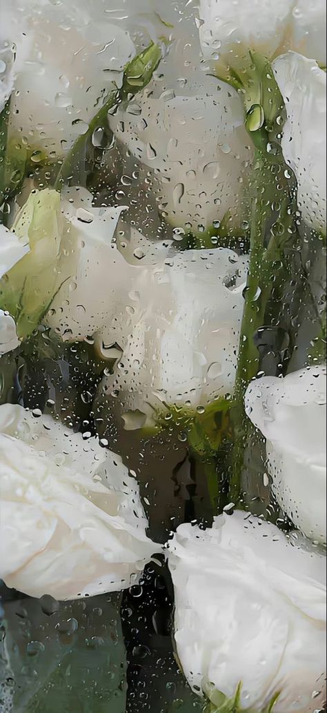 Wet Floral Wallpaper, Wet Flowers Wallpaper, Wet Flowers, Rainy Wallpaper, Japanese Wallpaper, Japanese Wallpaper Iphone, Wallpaper Estetika, Romantic Wallpaper, Rain Wallpapers
