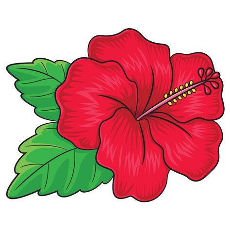 Gumamela Flower Drawing, Hibiscus Flower Cartoon, Hibiscus Drawing, Hibiscus Flower Drawing, Flower Cartoon, Flag Crafts, Haiwan Lucu, Flower Art Drawing, Graphic Arts Illustration