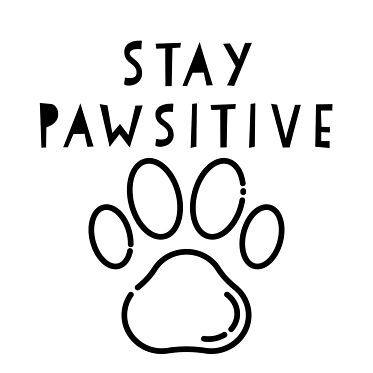 Stay Pawsitive cute pet dog cat owner lover quote phrase Quotes On Pets, Pawsitive Vibes Only, Pet Quotes Love, Cats Quotes Love, Fur Mom Quotes, Pet Quotes Inspirational, Cute Dog Quotes Short, Me And My Dog Quotes, Quotes For Pets