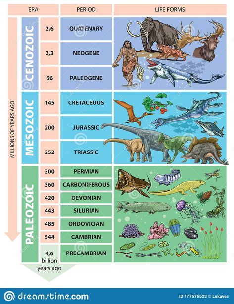 Geology Poster Design, Time Periods History, Geologic Time Scale Timeline Project, Geologic Time Scale Drawing, Geological Time Scale Timeline, Periods Illustration, Geology Study, Prehistoric Timeline, Geological Time Scale