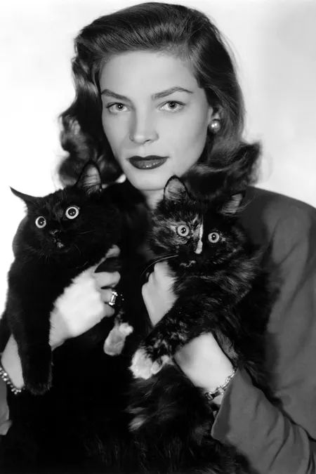 The 50 Most Fabulous (and Famous) Cat Ladies of All Time Tumblr, French Bulldog Puppies, Celebrities With Cats, Munchkin Cat, Tortoise Shell Cat, Cat Enclosure, Lauren Bacall, Celebrity Drawings, Classic Actresses