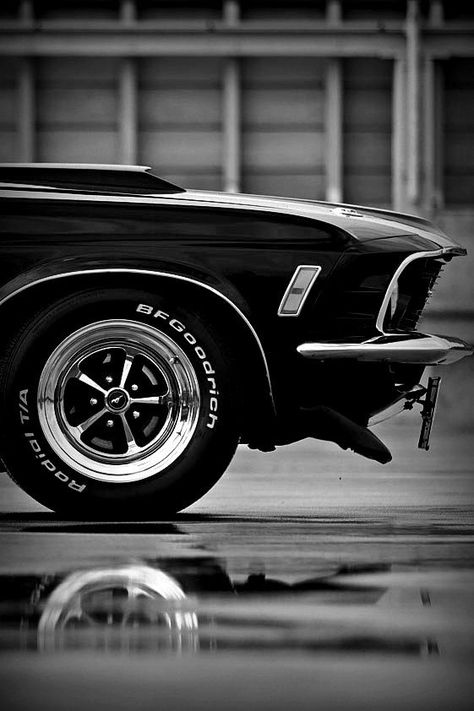 gentlecar: Ford Mustang Boss 302 1970 Mach 1, Mobil Mustang, Vintage Auto's, Sejarah Kuno, Mustang Boss 302, Ford Mustang Boss, Auto Retro, Mustang Boss, Mustang Cobra