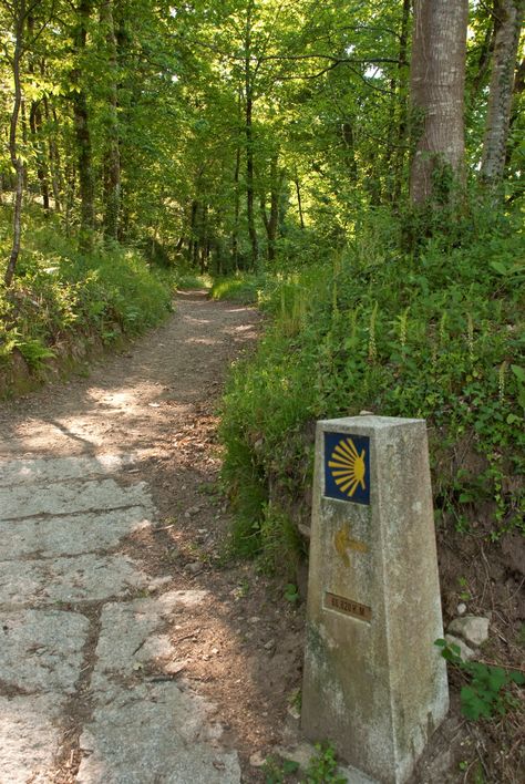 El Camino a su paso por Negreira. ** Santiago De Compostela, Santiago, Pilgrimage, Nature, Early Middle Ages, Pamplona, St Jacques, The Camino, Saint Jacques