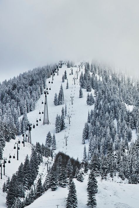 Nature, Aspen Skiing Aesthetic, Aspen Colorado Winter Aesthetic, Aspen Colorado Aesthetic, Aspen Aesthetic, Aspen Core, Aspen Colorado Winter, Skiing In Colorado, Aspen Trip