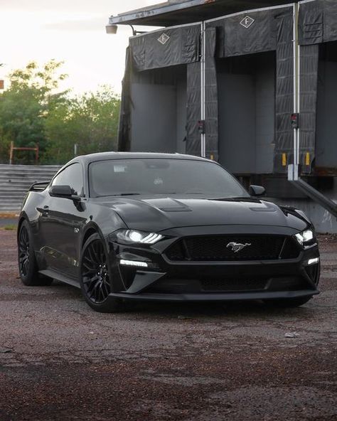 Mustang Gt Shelby Gt500, Black Ford Mustang Gt, Mustang S550 Gt, 2019 Ford Mustang Gt, All Black Mustang Gt, 2013 Ford Mustang, 05-09 Mustang Gt, Mustang Gt Aesthetic, Mustang 5.0 Gt