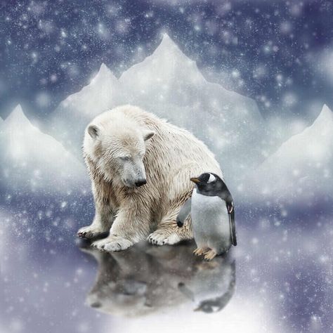 Bears Photography, Polar Bear And Penguin, Polar Bear Drawing, Coaster Ideas, Animals Jokes, Bear Painting, Polar Bear Art, Penguins And Polar Bears, Bear Paintings